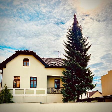Apartman U Smrku Двур-Кралове-над-Лабем Екстер'єр фото