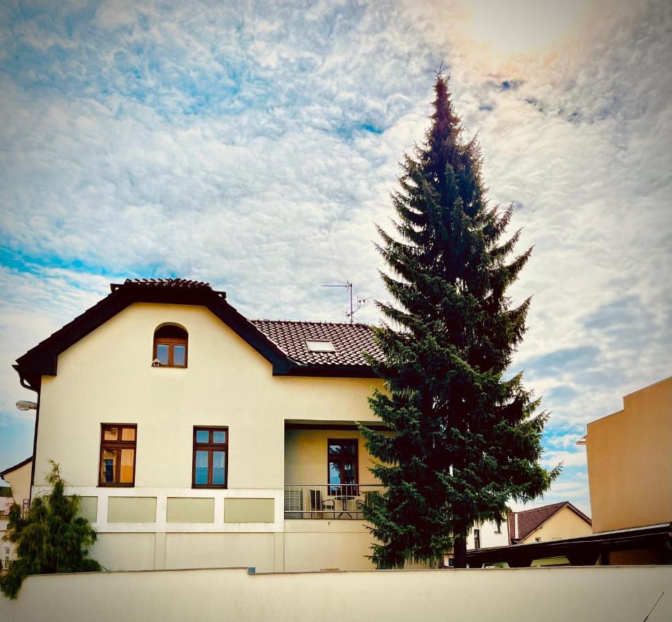 Apartman U Smrku Двур-Кралове-над-Лабем Екстер'єр фото